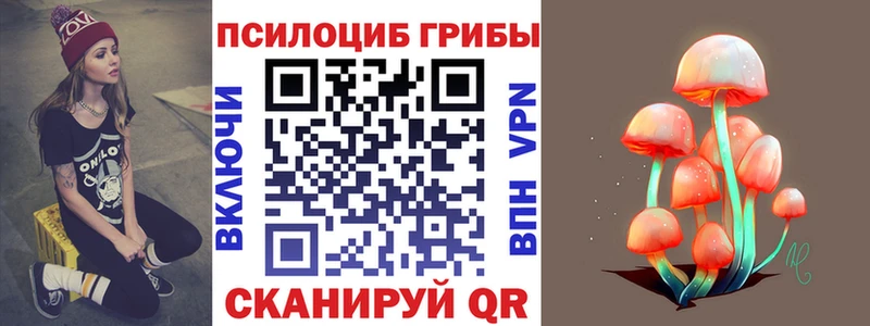 Галлюциногенные грибы GOLDEN TEACHER  наркошоп  Петропавловск-Камчатский 