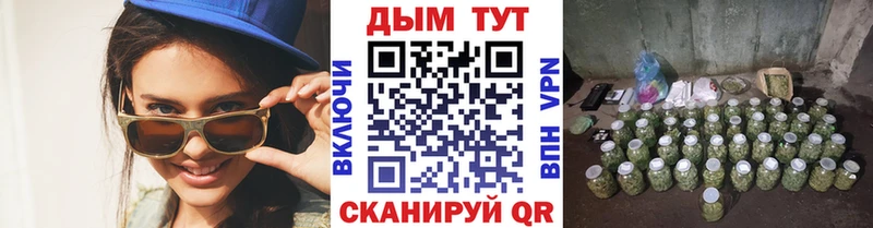 Конопля SATIVA & INDICA  Петропавловск-Камчатский 
